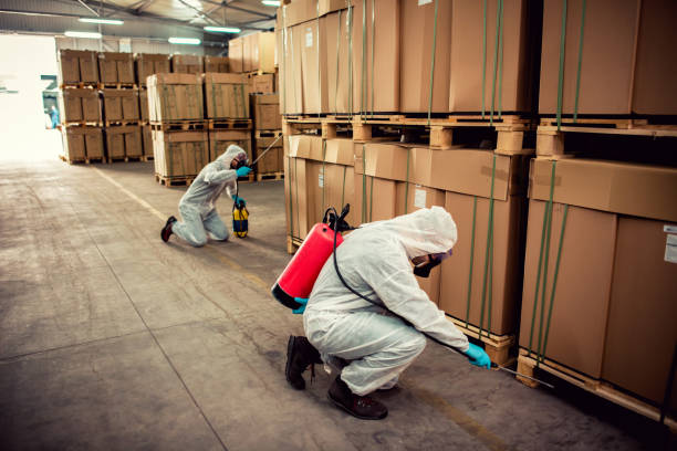 Best Pest Inspection Near Me  in West Covina, CA