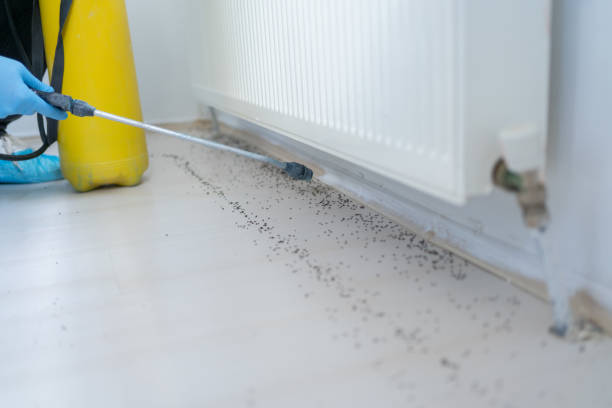 Best Best Pest Control Companies  in West Covina, CA