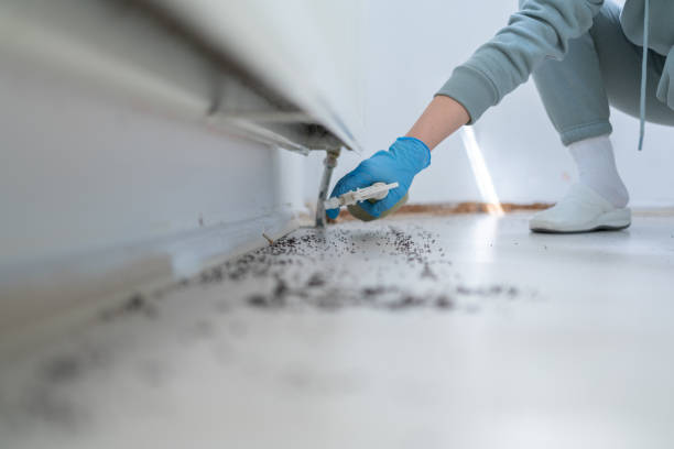 Best Best Pest Control Companies  in West Covina, CA